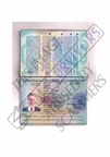 Mr Harry Passport scan copy 