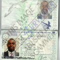 Fake Passport James Newton