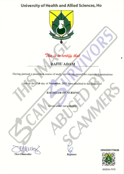 Fake Bachelor of Nursing Certificate.PNG