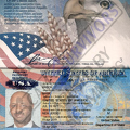 Fake Passport Mark Mason