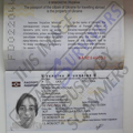 Fake ID Diana Novikova.PNG