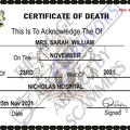 Fake Certificate of Death.PNG