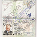 Fake Passport James Bruce.PNG