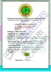 Fake Contract Award Certificate