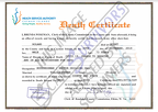 Fake Death Certificate