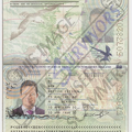 Fake Passport Ben Ho