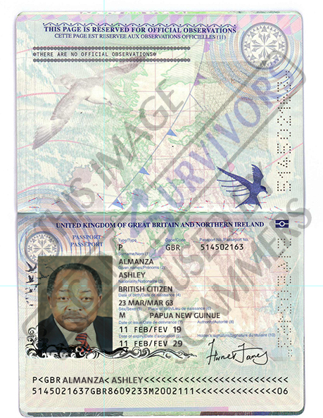 Fake Passport Ashley Almanza.PNG