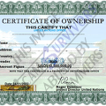 Fake Certificate of Ownership