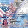 Ellis Passport (1)