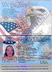 Ellis Passport (1)