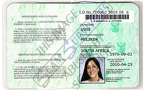 Fake Passport Melinda Vusi
