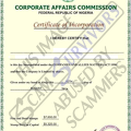 Fake Certificate of Incorporation