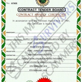 Fake Contract Award Certificate