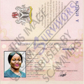 Fake Passport Ibru Ibe.PNG