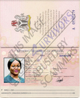 Fake Passport Ibru Ibe
