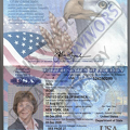 Fake Passport Susan G Riel.PNG