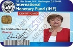 IMF DIrector Identity