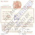 Fake Birth Certificate.JPG