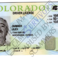 Fake Drivers license Alex Kummer.PNG