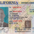 Fake Driver's License Steven Green.PNG