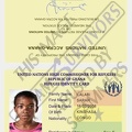fake refugee id card 1