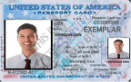 Fake Passport Card Johnson Dan