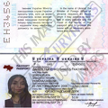 Fake Passport Zlata Tkachenko