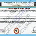 Fake Certificate of Origin.PNG