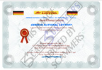 Fake Certificate 2