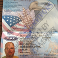 fake passport Gunderson