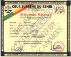 Fake License Olu Williams