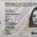 Fake ID Chantal Williams.PNG