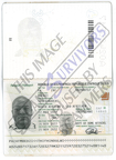 Fake Passport Thifhindulwi Mbedzi