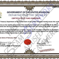 Fake Certificate of Ownership.PNG