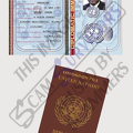 Fake Passport Mark Danny