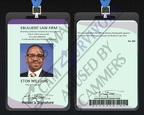 fake EBULLIENT  id card