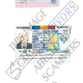 Fake ID Bodea Grigore.PNG